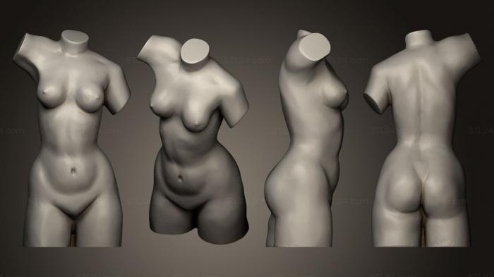 Анатомия скелеты и черепа (Статуя Евы, ANTM_0065) 3D модель для ЧПУ станка